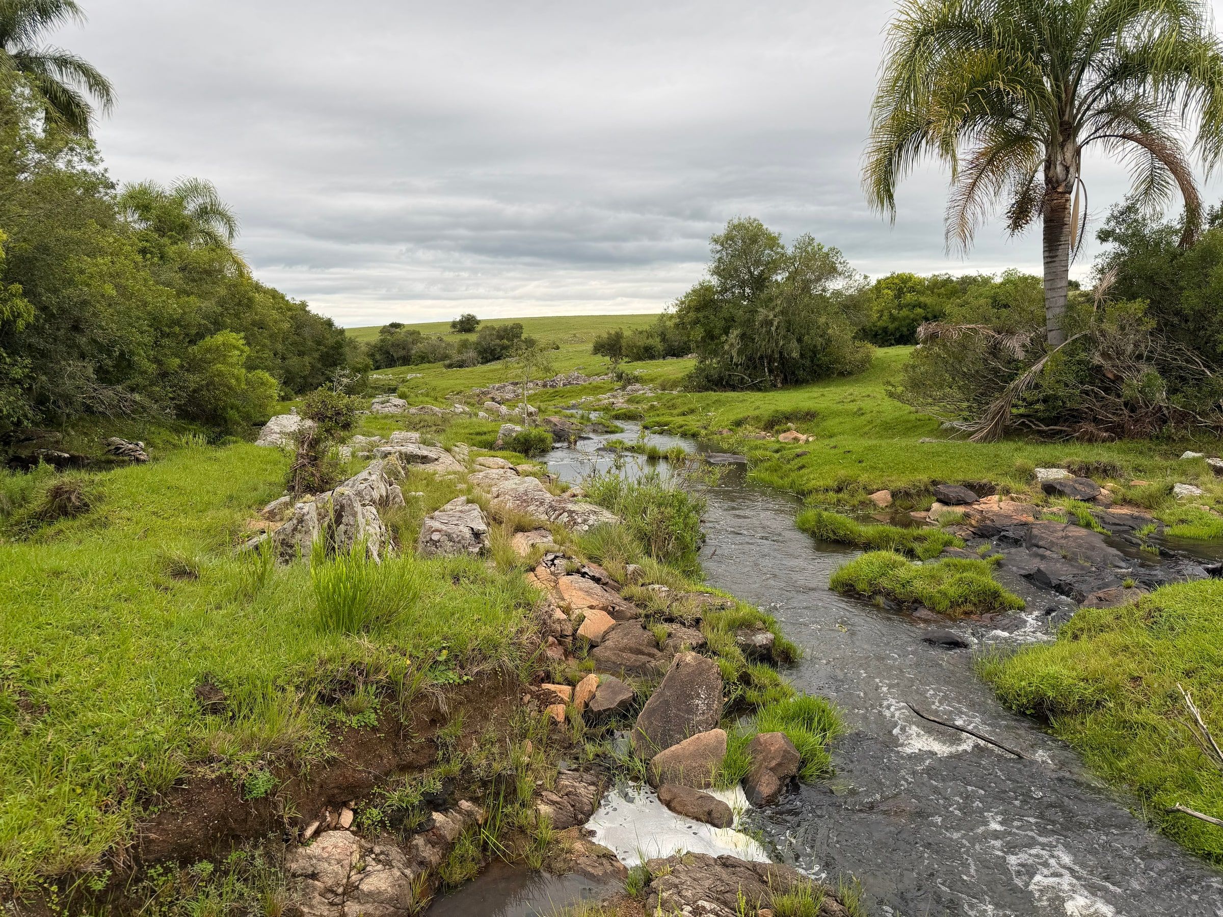 Paisaje de agua y vegetación de Paso Centurión