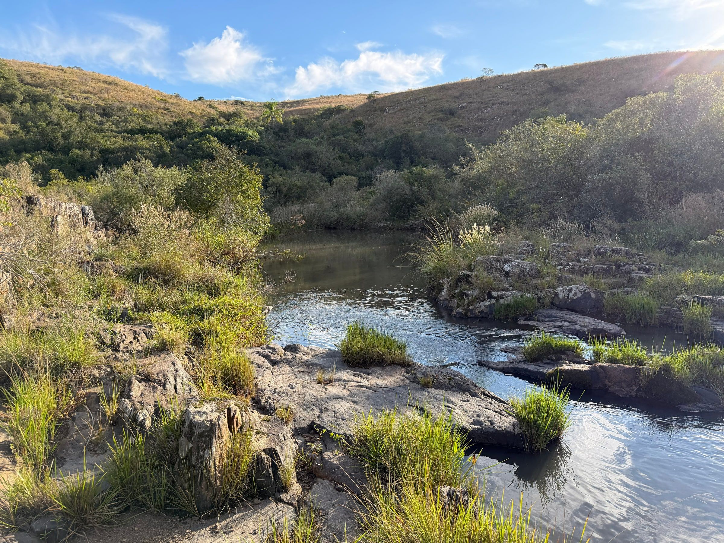 Arroyo entre vegetación natural en Paso Centurión